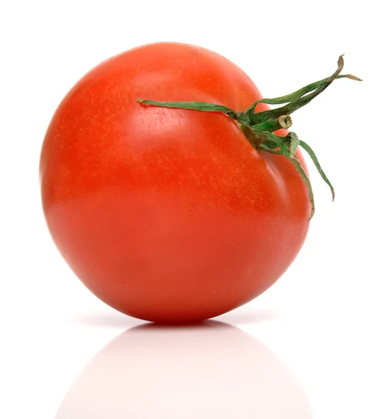 Dokonalé rajče — Stock fotografie