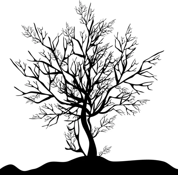 Schwarzer Baum — Stockfoto