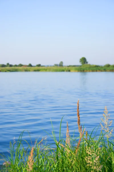 Paisaje de verano con lago —  Fotos de Stock
