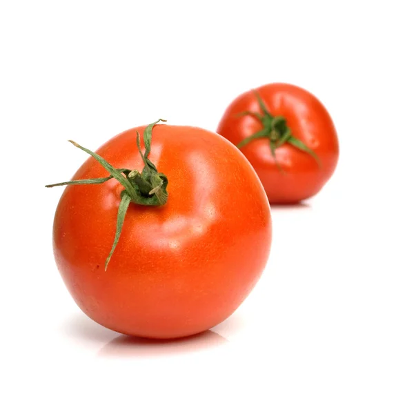 Saftige frische Tomaten 6 — Stockfoto