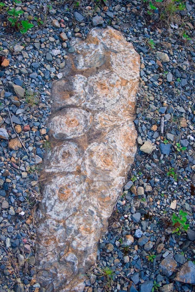 Ursprungliga struktur av stenar — Stockfoto