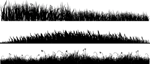 Üç değişik siyah çimen — Stok fotoğraf