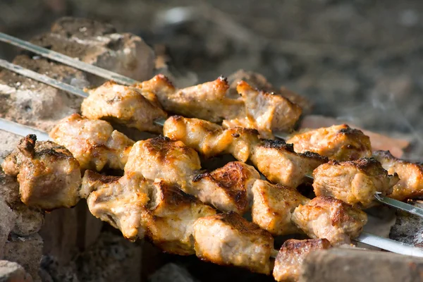 Hot shish kebab — Stock Photo, Image