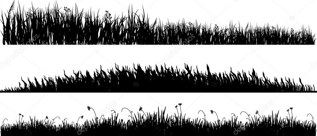 Three variants of black grass