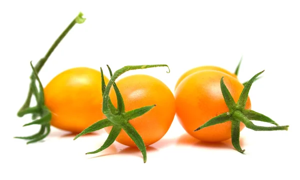 Mükemmel sarı domates 2 — Stok fotoğraf