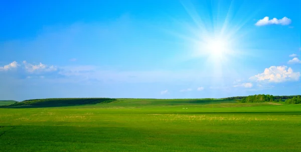 Grünes Feld und blauer bewölkter Himmel — Stockfoto