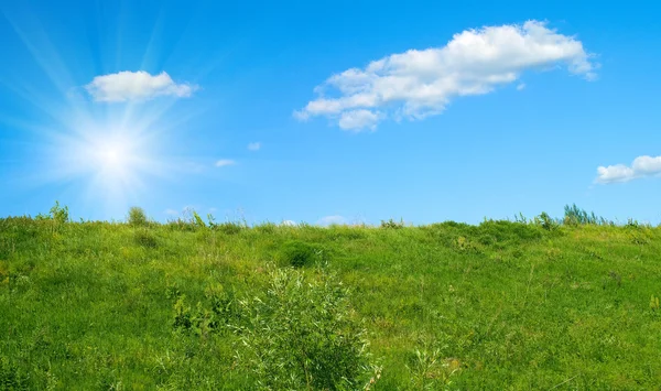 Трава и голубое облачное небо — стоковое фото