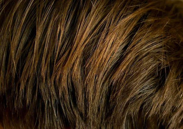 Consistenza dei capelli — Foto Stock