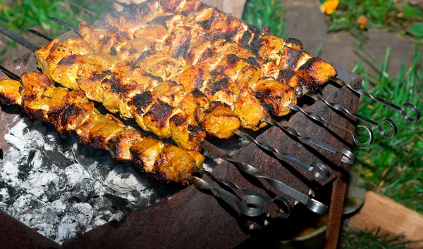 Hot shish kebab — Stock Photo, Image