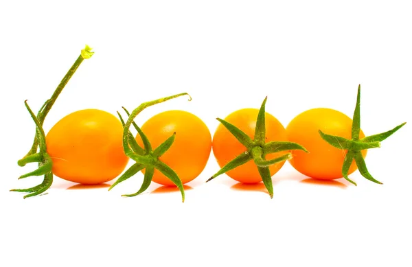 Mükemmel sarı domates — Stok fotoğraf