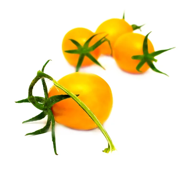 Perfekte gelbe Tomaten — Stockfoto