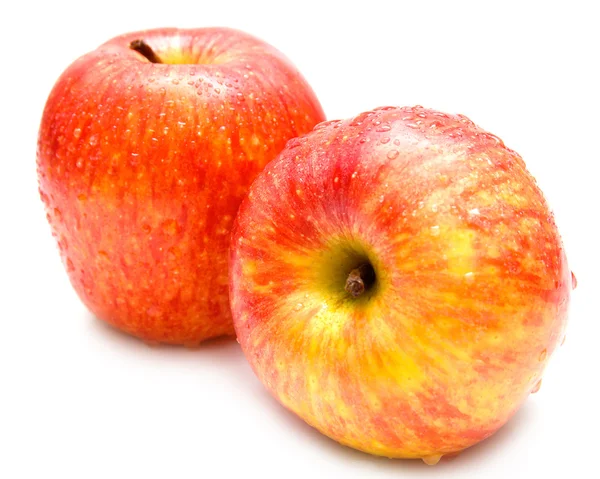 Feuchte rote Äpfel — Stockfoto