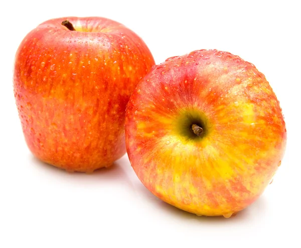 Feuchte rote Äpfel — Stockfoto