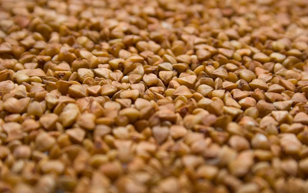 Buckwheat groats — Stock Photo, Image