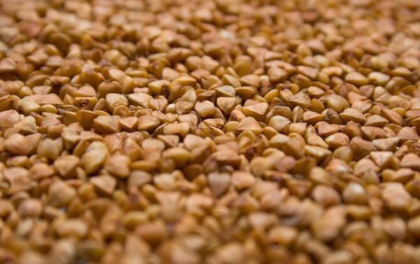 stock image Buckwheat groats