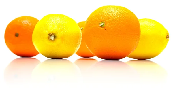 Апельсини та лимони — стокове фото