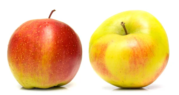 Röda och gula äpplen — Stockfoto