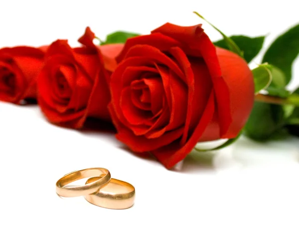 Jegygyűrűk és vörös rózsák — Stock Fotó