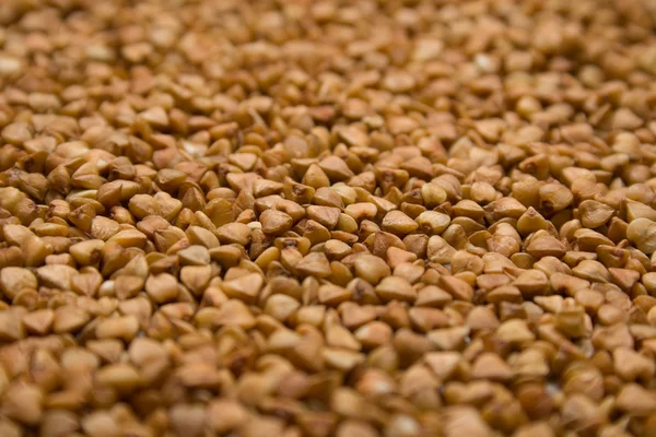 Buckwheat groats — Stock Photo, Image