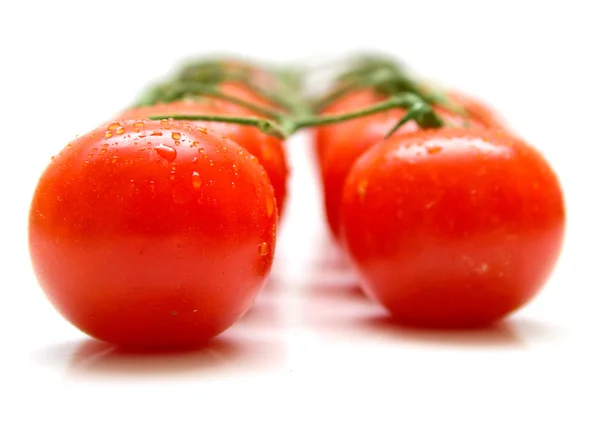 Tomates mûres 2 — Photo