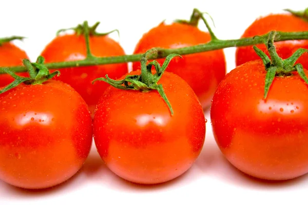 Созревшие помидоры 3 — стоковое фото