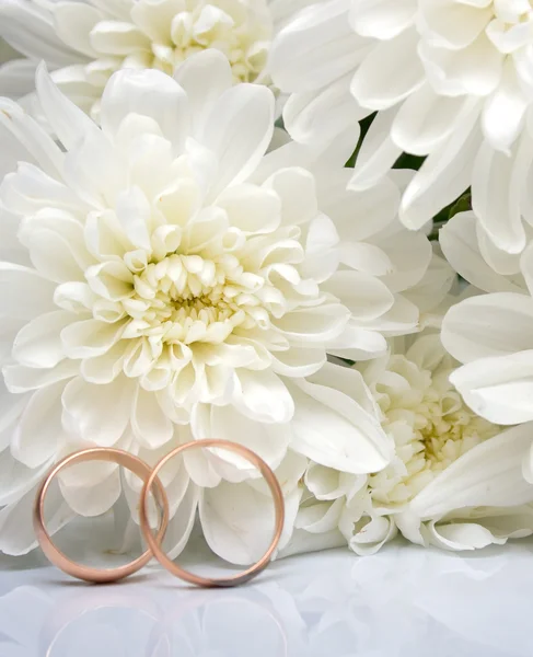 Wedding rings and white chrysanthemum — Stock Photo, Image