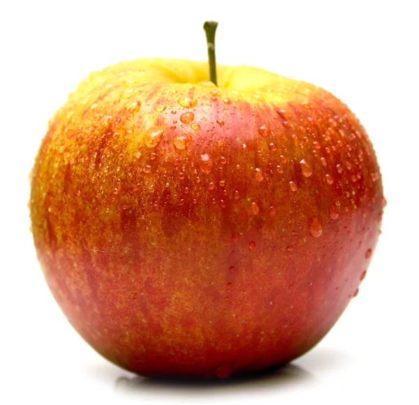 Islak Kırmızı elma — Stok fotoğraf