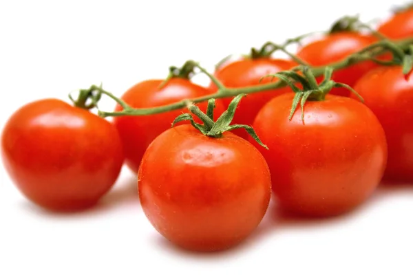 Zralá rajčata — Stock fotografie
