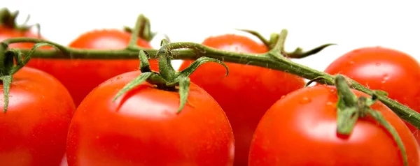 Macro pomodori — Foto Stock