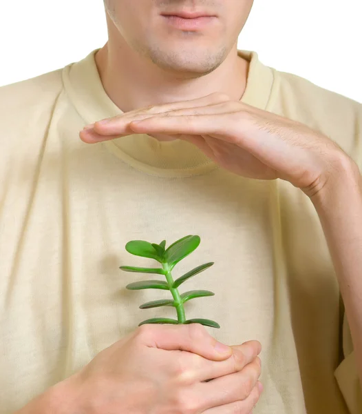 stock image Man preserves a young plant