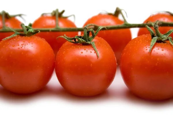 Tomates mûres — Photo
