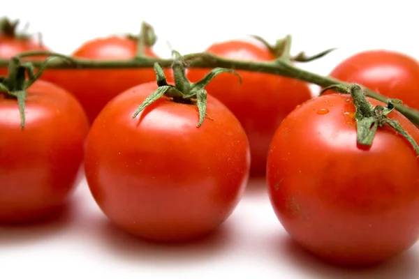 Tomates mûres sur la branche verte — Photo
