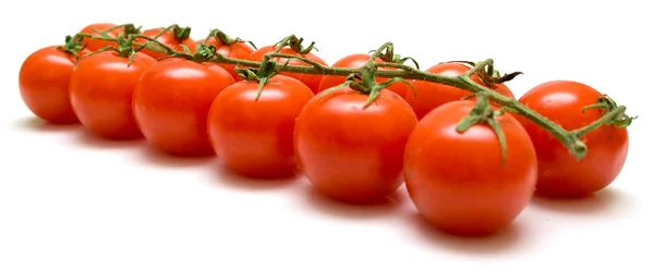 Ripe tomatoes on the green branch — Stock Photo, Image