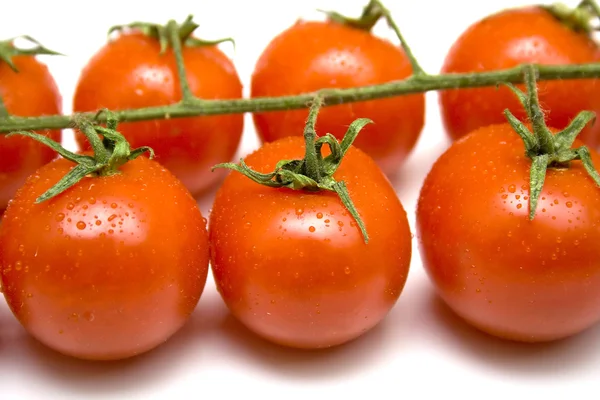 Olgun domates — Stok fotoğraf