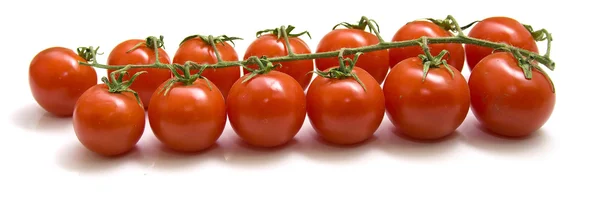 Спелые помидоры — стоковое фото