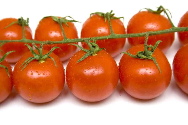 Спелые помидоры на зеленой ветке — стоковое фото
