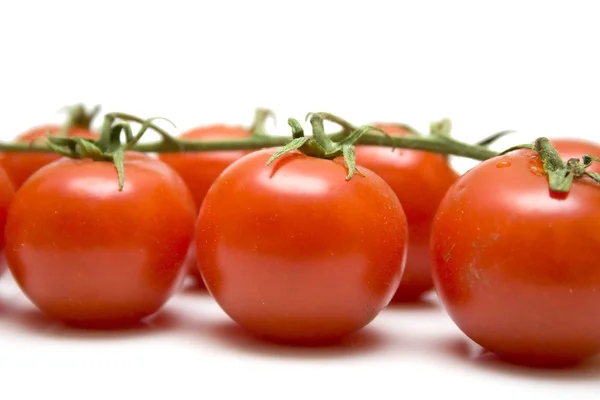 Tomates mûres — Photo