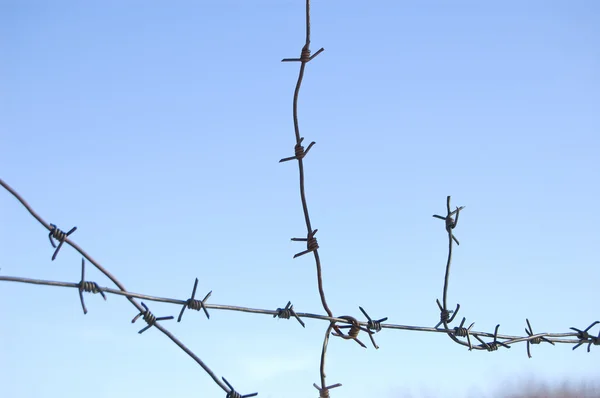 Old barbed wire — Stock Photo, Image