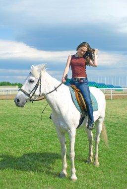 Girl embraces a white horse clipart