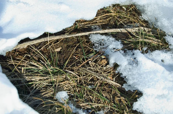 Текстура снега и земли — стоковое фото