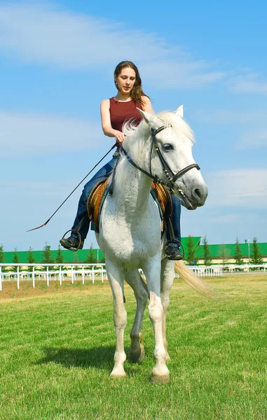 Smiling girl embraces a white horse — Stock Photo, Image