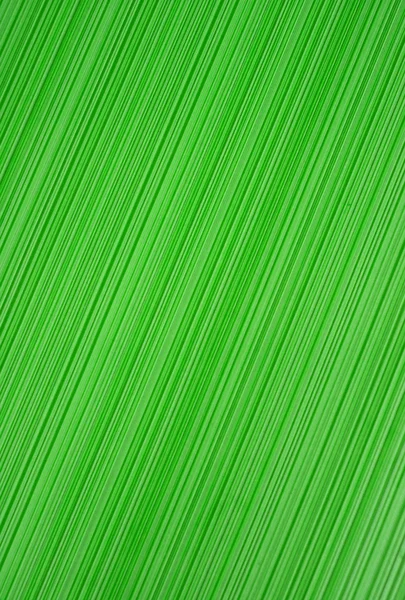 Textura rayada verde — Foto de Stock