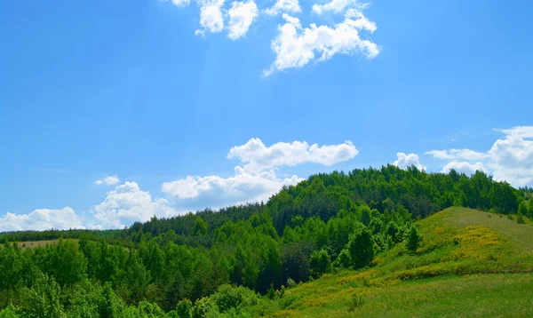 Träd på kullarna i Uralbergen — Stockfoto