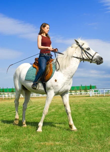Dívka objímá bílý kůň — Stock fotografie