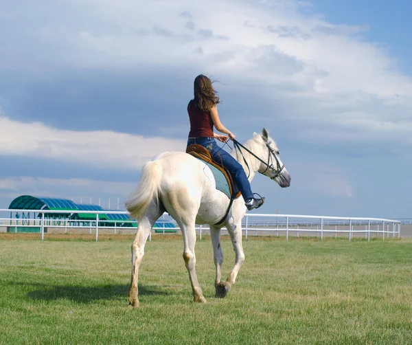 Девушка обнимает белую лошадь — стоковое фото