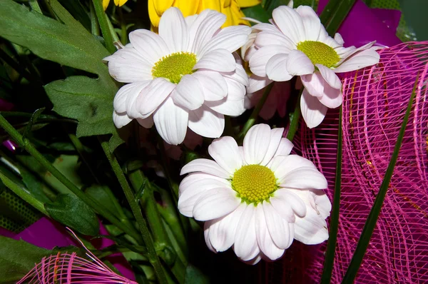 Букет из нескольких цветов — стоковое фото