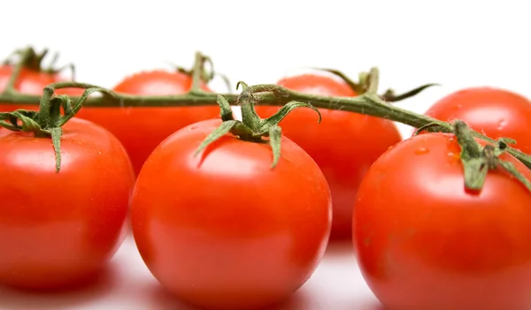 Makro domates — Stok fotoğraf