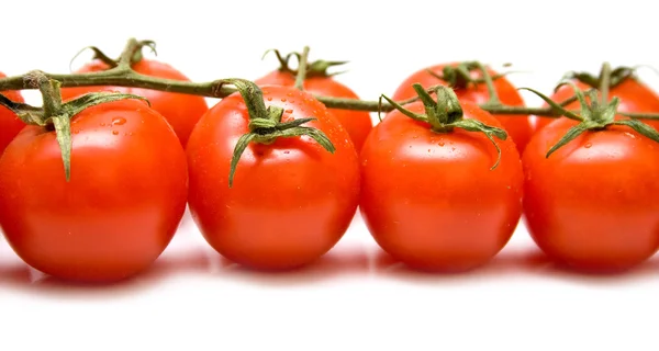 Zralá rajčata makro — Stock fotografie