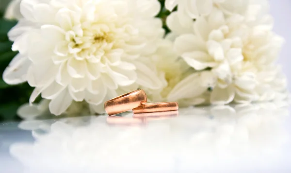 Anéis de casamento e crisântemo branco — Fotografia de Stock