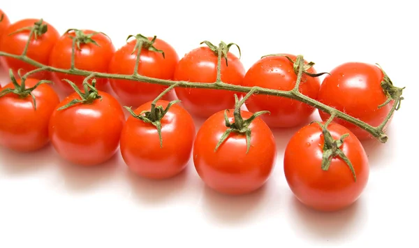 녹색 분 지에 잘 익은 토마토 — 스톡 사진